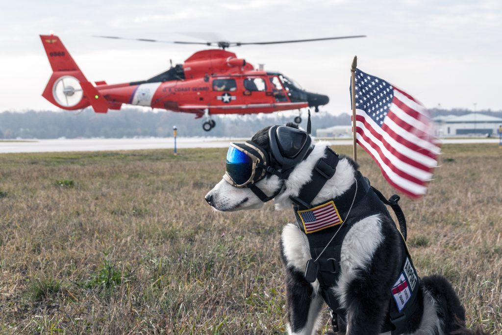 Aviation's Coolest working Dog: Tribute to K9 Piper | 6568 liftoff flag