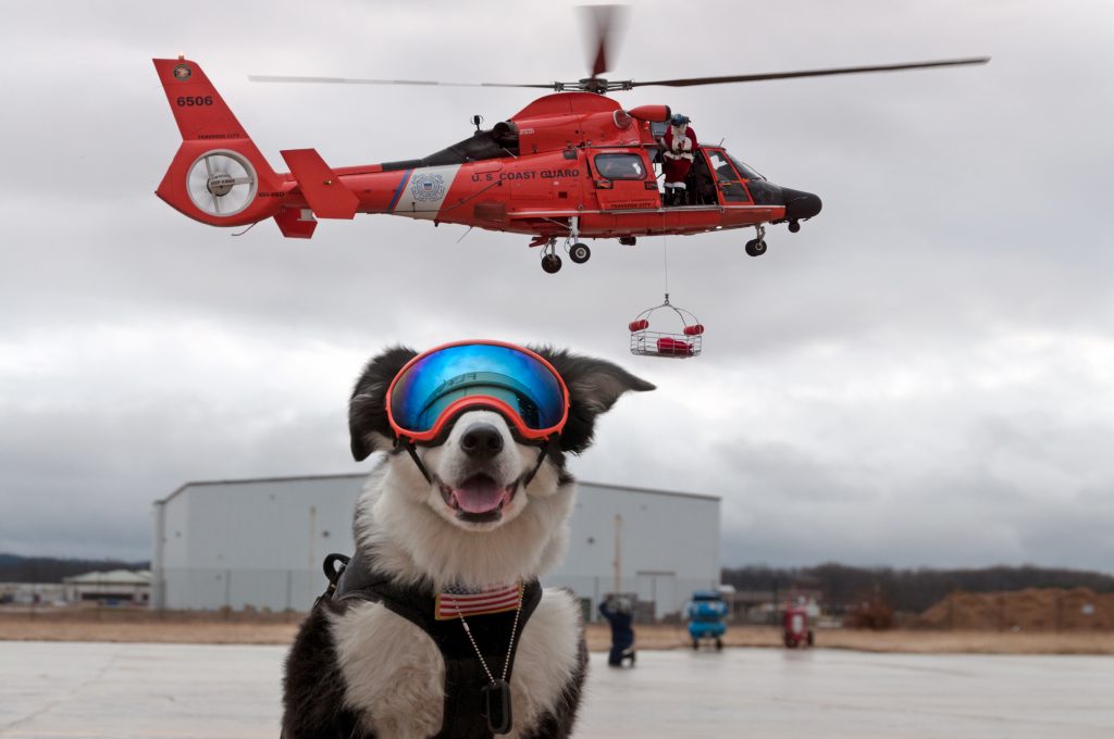 Aviation's Coolest working Dog: Tribute to K9 Piper santa mechanic