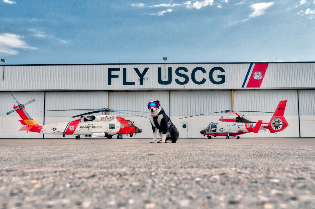 Aviation's Coolest working Dog: Tribute to K9 Piper | uscg family photo