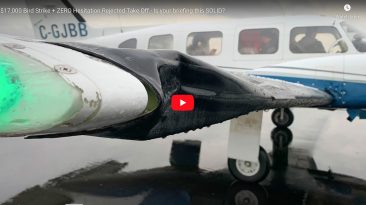 $17,000 Bird Strike + ZERO Hesitation Rejected Take Off - Is your briefing this SOLID?